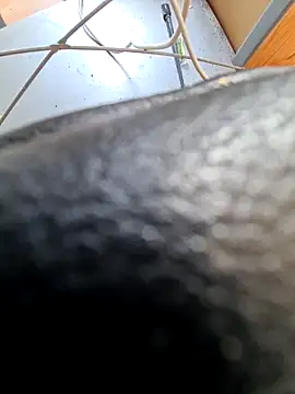 PetePro1989 online show from April 8, 2026, 12:49 pm