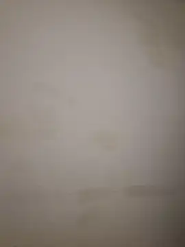 Adivaaa online show from October 16, 2025, 9:10 am