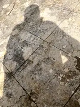 curcuro online show from March 1, 2026, 10:50 am