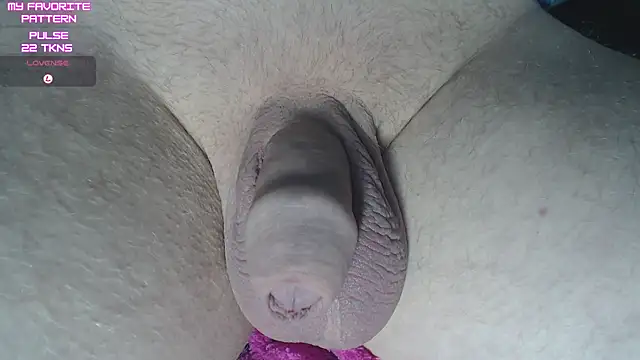 kevintyler69 online show from February 13, 2026, 4:19 am