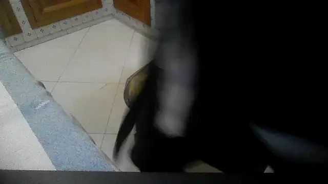 polloiw online show from October 18, 2025, 7:36 pm