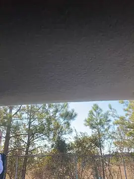 Snapshot of lolabunny9 chatting on January 28, 2025, 4:30 pm lolabunny9 online show from January 28, 2025, 4:30 pm