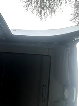 Lionayowe online show from November 19, 2025, 10:59 am