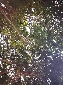 Snapshot of Brenda_Berck_ chatting on April 5, 2026, 12:57 pm Brenda Berck online show from April 5, 2026, 12:57 pm