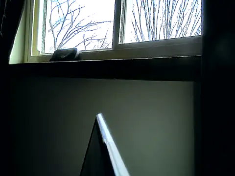 longdick4you8686 online show from February 12, 2025, 3:05 pm