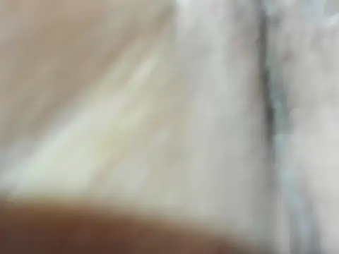 foxy-porn1 online show from March 8, 2026, 3:16 pm