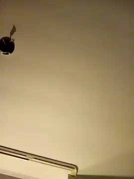 Snapshot of NiceHunter89 chatting on January 26, 2025, 2:45 am NiceHunter89 online show from January 26, 2025, 2:45 am