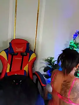XXX harna online show from December 10, 2024, 4:56 am