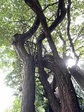 Night dreams online show from September 20, 2025, 7:53 am