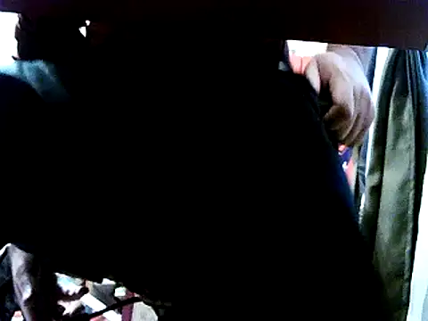 opreatiby online show from January 10, 2025, 2:02 pm