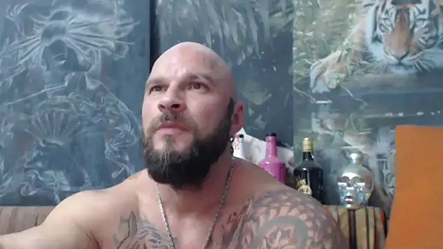 viking 30 online show from September 15, 2025, 6:30 pm