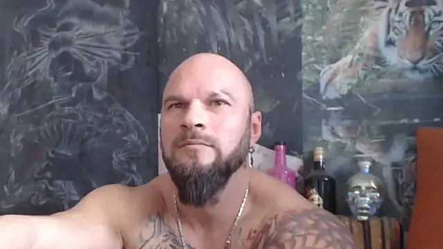 viking 30 online show from November 6, 2025, 8:15 am