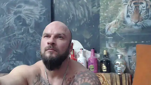 viking 30 online show from November 14, 2025, 7:56 pm