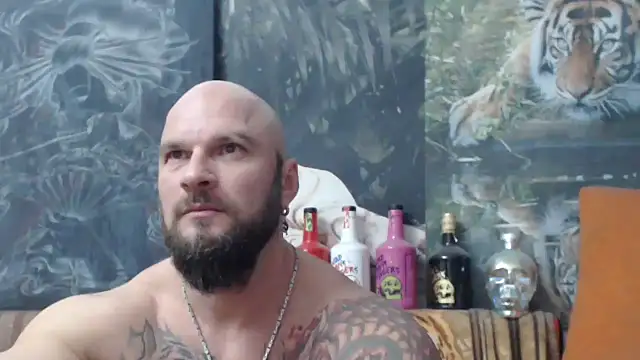 viking 30 online show from November 17, 2025, 7:41 pm