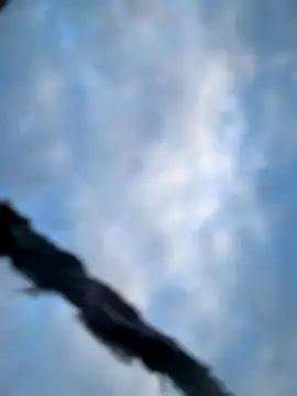 Model9798 online show from October 22, 2025, 2:28 pm