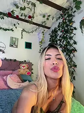 Snapshot of steewart_ chatting on February 4, 2025, 3:33 am steewart online show from February 4, 2025, 3:33 am