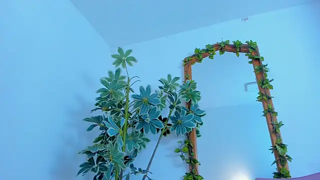 NinaWong online show from February 26, 2026, 7:02 pm