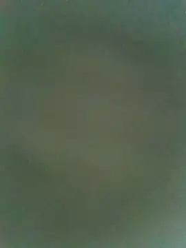 Snapshot of dreamtoungelick69 chatting on July 25, 2026, 3:04 am dreamtoungelick69 online show from July 25, 2026, 3:04 am