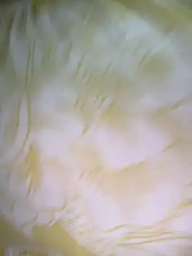 Dhiyapink online show from December 2, 2024, 6:41 am