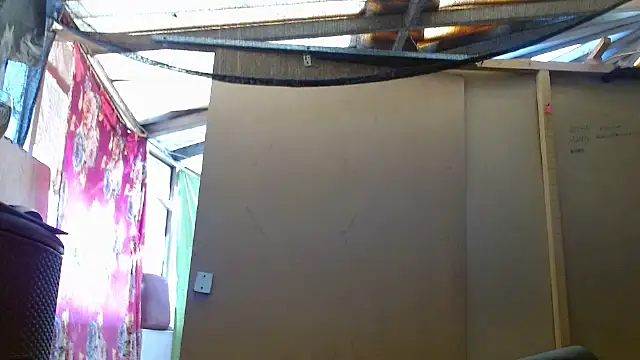 Snapshot of hardrock982 chatting on January 29, 2025, 1:17 pm hardrock982 online show from January 29, 2025, 1:17 pm