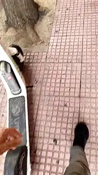 Snapshot of kostas19cm chatting on September 30, 2025, 11:48 am kostas19cm online show from September 30, 2025, 11:48 am