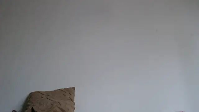 Katze22 online show from December 13, 2024, 9:57 am