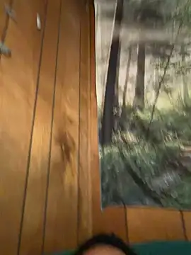 ScottyOne17 online show from March 17, 2026, 3:11 am