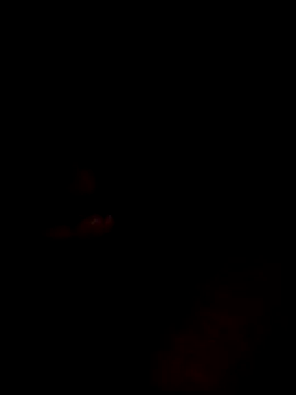 Snapshot of websterribeiro chatting on March 11, 2026, 3:45 am websterribeiro online show from March 11, 2026, 3:45 am