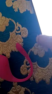 tslovetoys5 online show from December 8, 2024, 2:41 pm