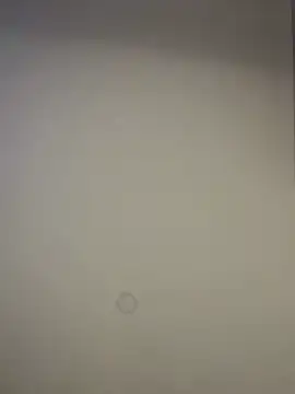 curchez  online show from January 7, 2025, 2:10 am