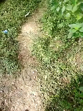 rameshmry1 online show from January 7, 2026, 4:59 am