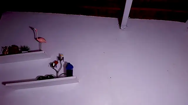 Snapshot of alexaa_walker chatting on February 10, 2025, 11:57 am alexaa walker online show from February 10, 2025, 11:57 am