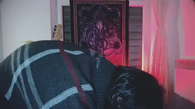 sademobeer online show from October 22, 2025, 2:56 am