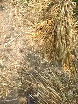 FinableKnee online show from April 8, 2026, 5:29 am