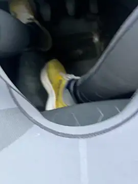 Mark3706 online show from December 2, 2024, 1:02 pm