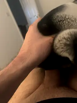 Snapshot of Furdale chatting on December 3, 2024, 3:00 pm Furdale online show from December 3, 2024, 3:00 pm