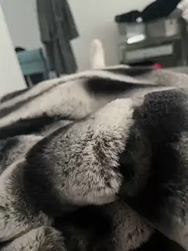 Snapshot of Furdale chatting on December 18, 2024, 11:56 am Furdale online show from December 18, 2024, 11:56 am