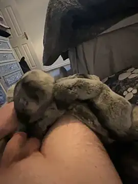 Snapshot of Furdale chatting on January 1, 2025, 3:46 pm Furdale online show from January 1, 2025, 3:46 pm