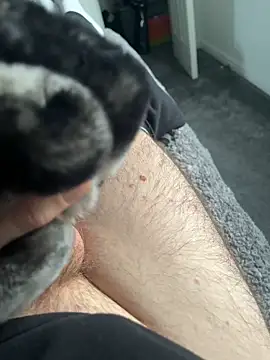 Snapshot of Furdale chatting on January 16, 2025, 2:08 pm Furdale online show from January 16, 2025, 2:08 pm