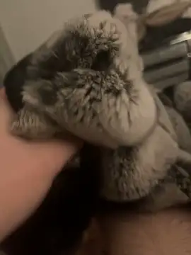 Snapshot of Furdale chatting on January 24, 2025, 6:04 pm Furdale online show from January 24, 2025, 6:04 pm