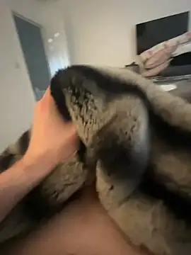 Snapshot of Furdale chatting on February 8, 2025, 9:46 am Furdale online show from February 8, 2025, 9:46 am