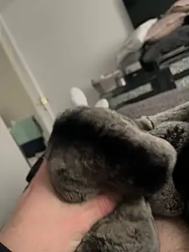 Snapshot of Furdale chatting on February 10, 2025, 1:55 pm Furdale online show from February 10, 2025, 1:55 pm