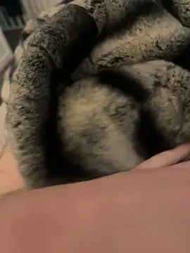 Snapshot of Furdale chatting on February 17, 2025, 3:09 pm Furdale online show from February 17, 2025, 3:09 pm