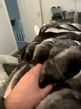 Snapshot of Furdale chatting on September 10, 2025, 4:29 pm Furdale online show from September 10, 2025, 4:29 pm