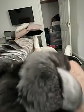 Snapshot of Furdale chatting on October 17, 2025, 1:57 pm Furdale online show from October 17, 2025, 1:57 pm