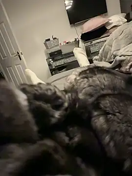 Furdale online show from December 17, 2025, 4:13 pm