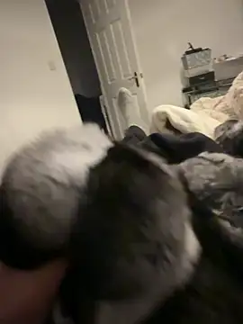 Furdale online show from February 6, 2026, 6:44 pm