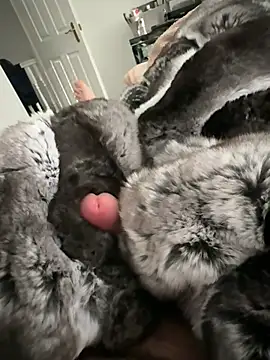 Furdale online show from February 22, 2026, 3:10 pm