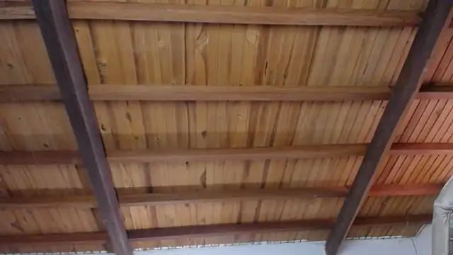 Nicolle Milf online show from December 19, 2025, 6:48 pm