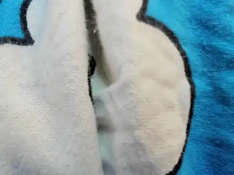 bigbooty29 online show from September 29, 2025, 4:50 am